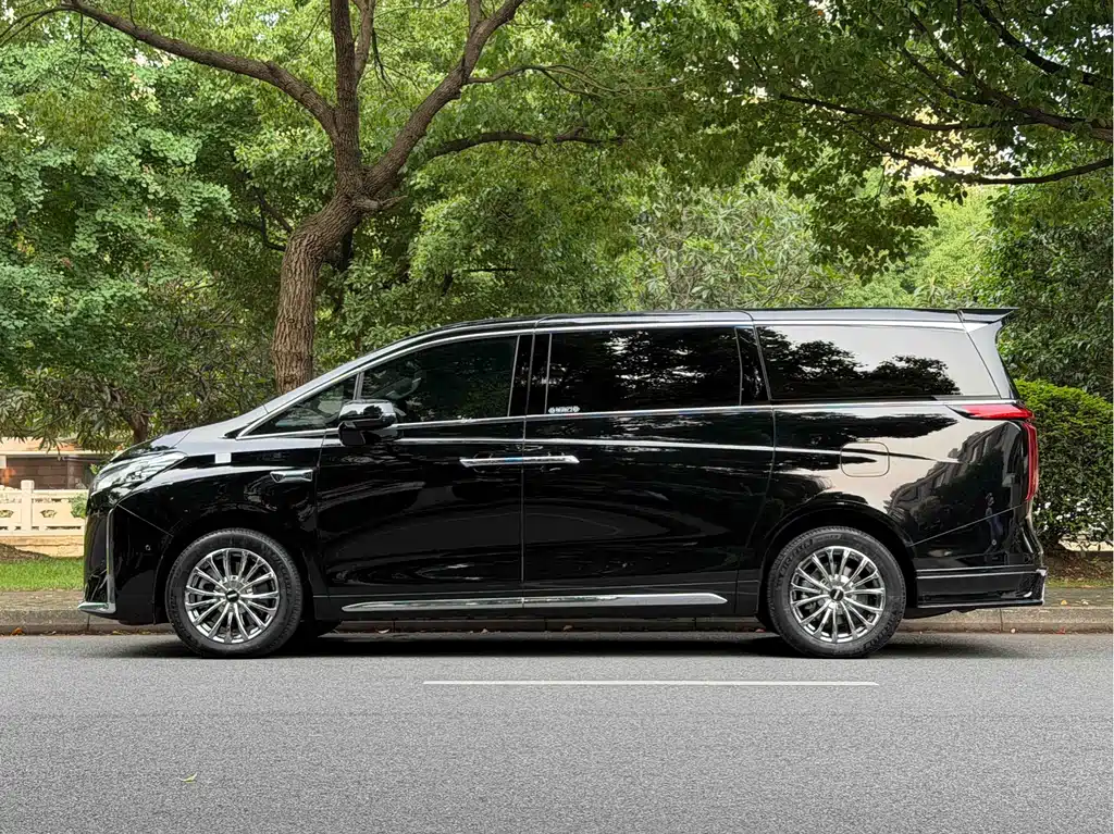 WEY Gaoshan 2025 AWD Gaoshan 8