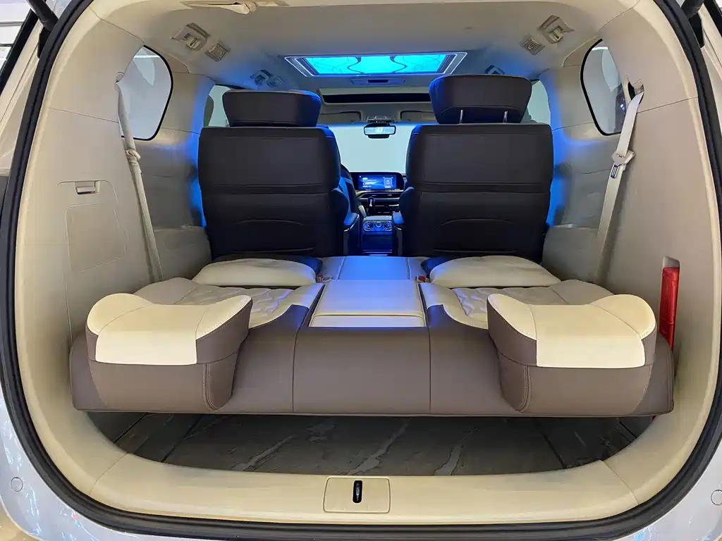 Buick GL8 2023 ES Land Business Class Premium Edition