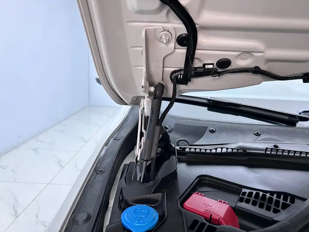 BMW 3 Series 2017 320Li Fashion Edition