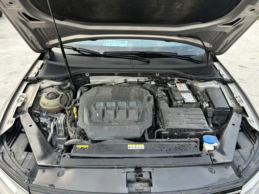 Volkswagen Magotan 2020 330TSI DSG Luxury