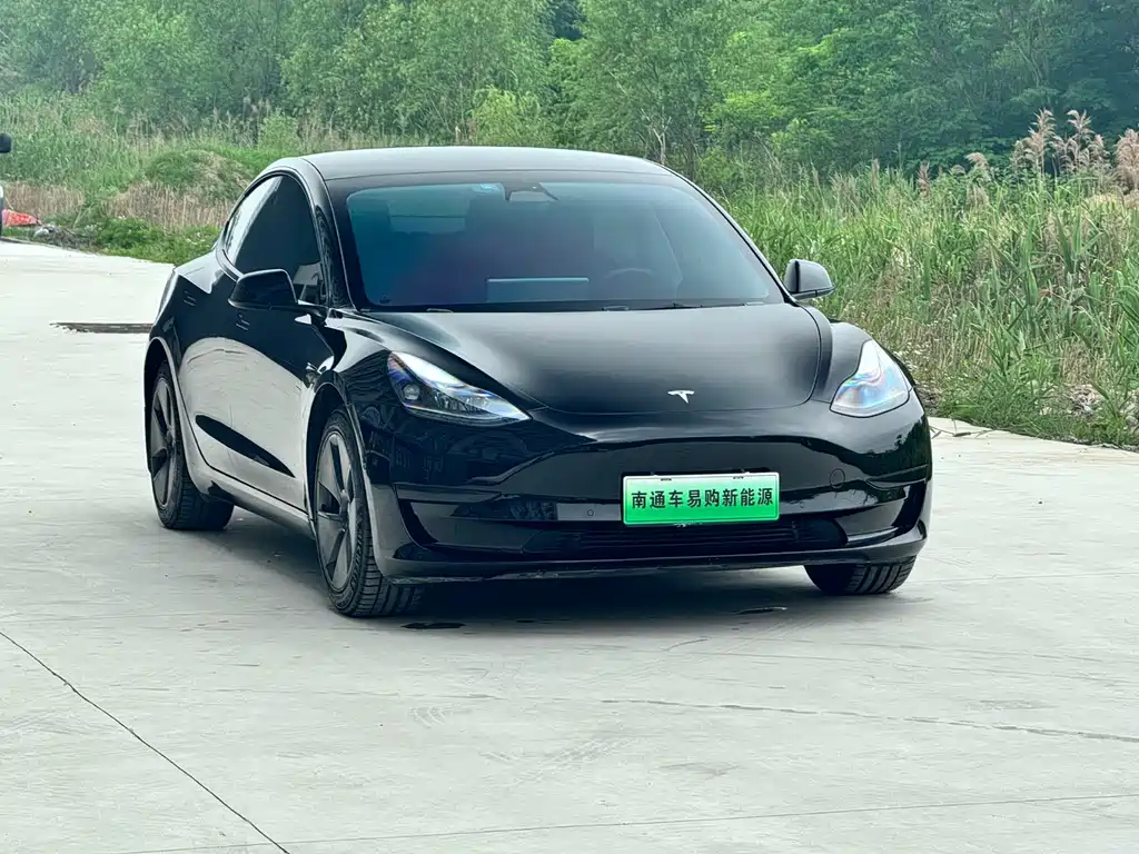 Tesla Model 3 2022 Rear-Wheel Drive