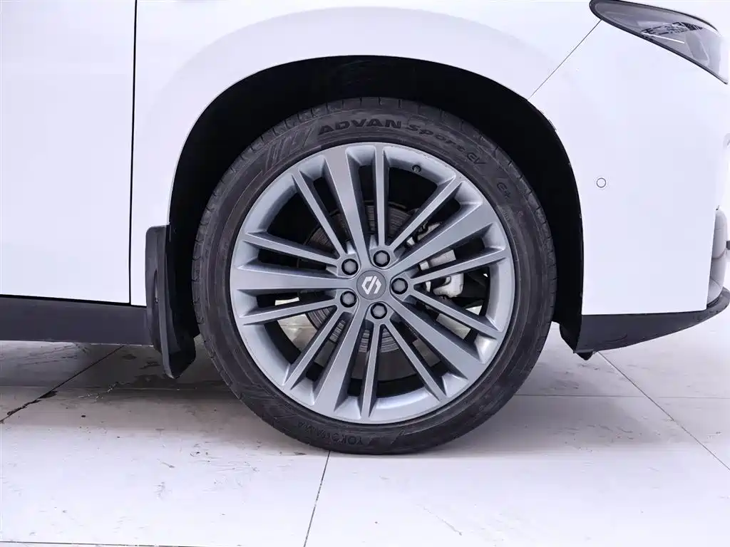 Leapmotor C16 2024 EREV 200 Premium Edition