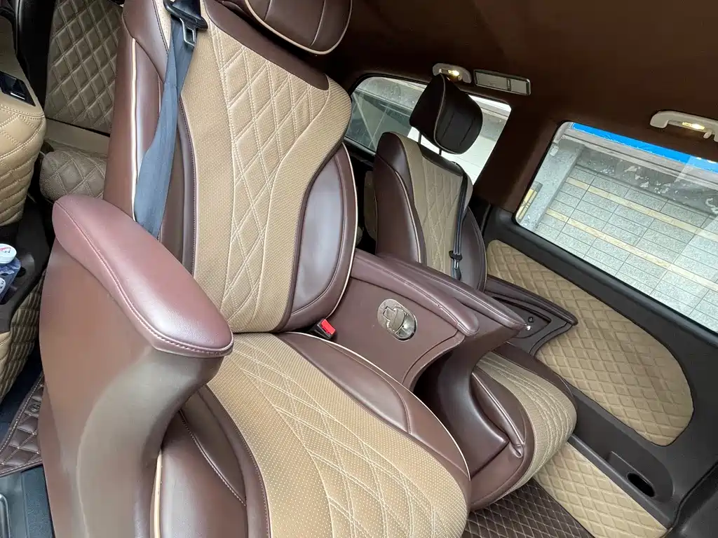Mercedes-Benz Vito 2018 2.0T Business Edition China VI