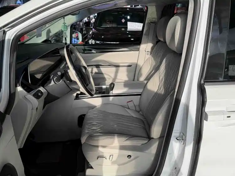 Buick GL8 2021 ES Luxury 653T Comfort