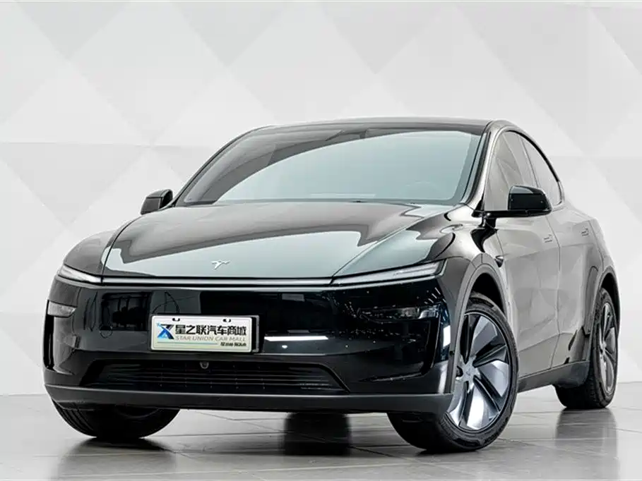 Model Y 2025 Long Range All-Wheel Drive