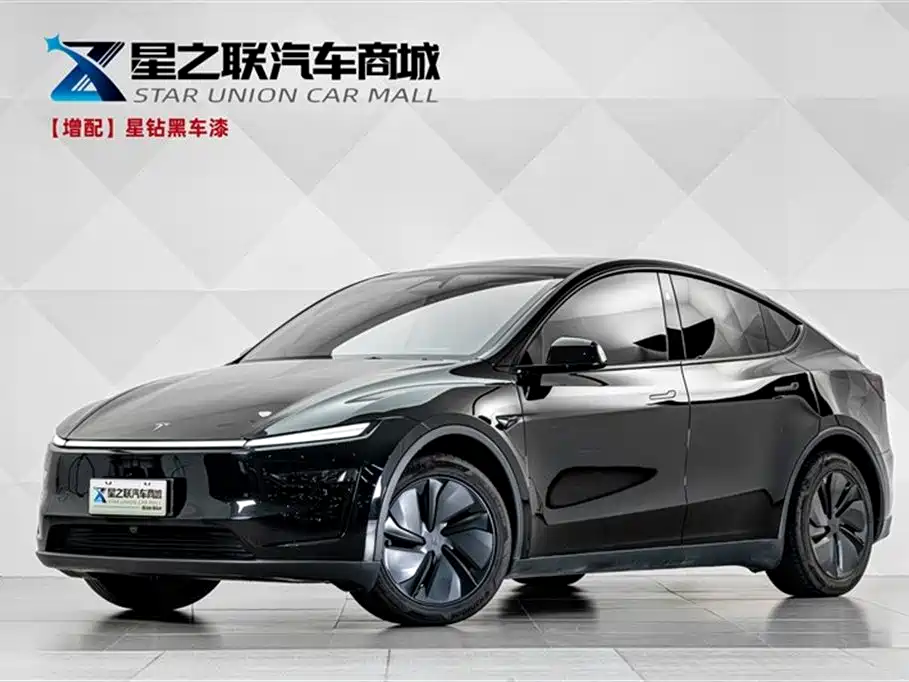 Model Y 2025 Long Range All-Wheel Drive