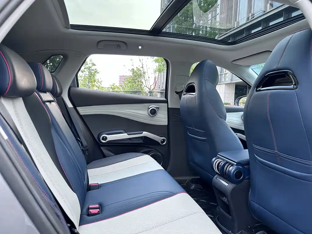 Yuan PLUS 2023 Model Champion Edition 510km Premium