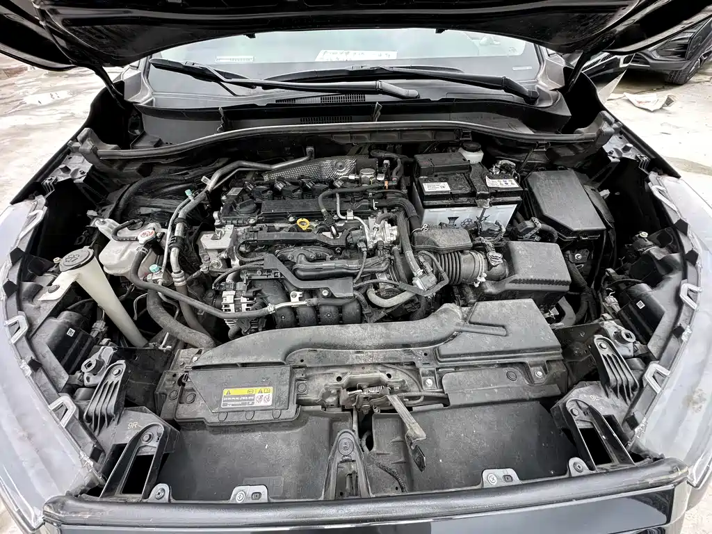 Toyota Frontlander 2023 2.0L CVT Leading