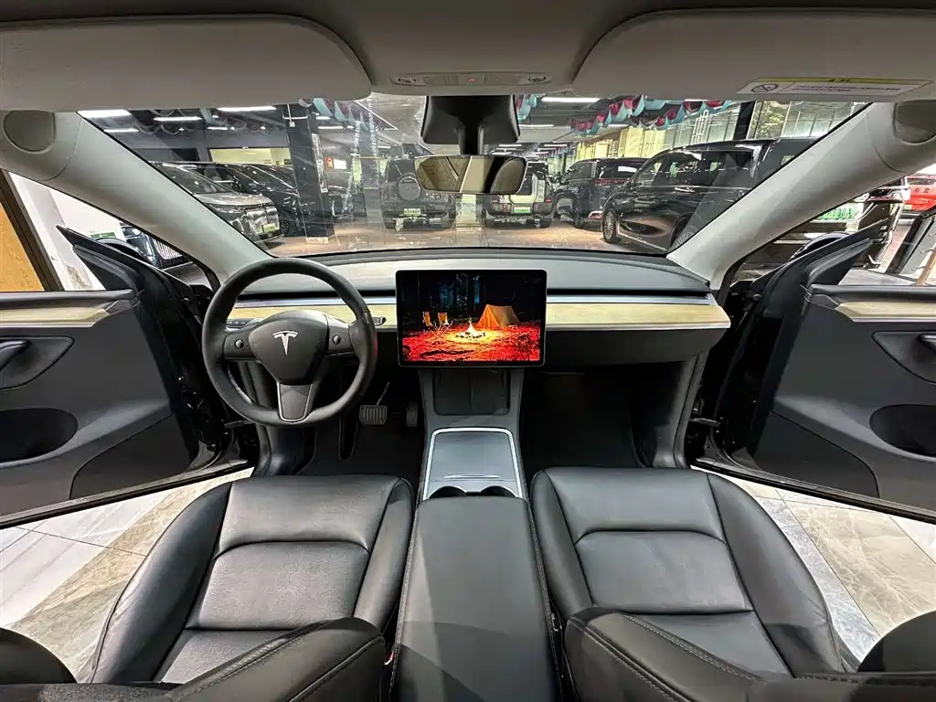 Model Y 2021 Standard Range RWD