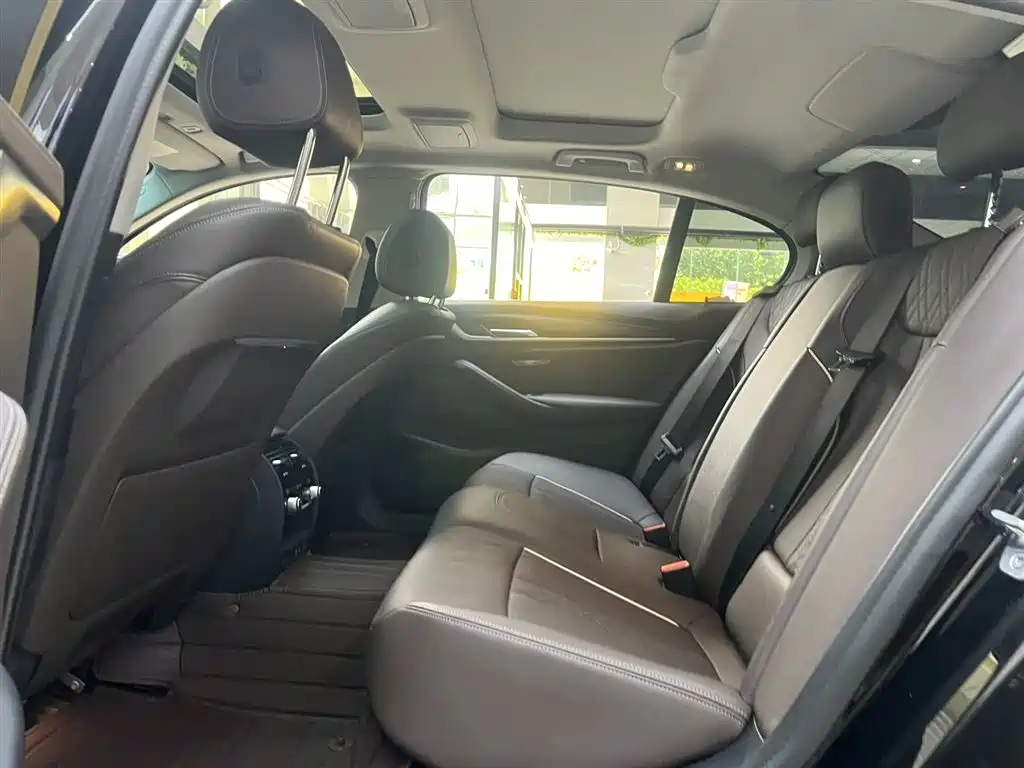 BMW 5 Series 2021 530Li xDrive Luxury Package