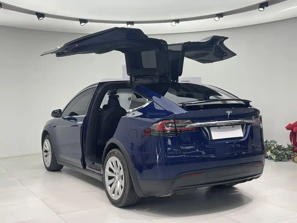 Tesla Model X 2017 100D Long Range