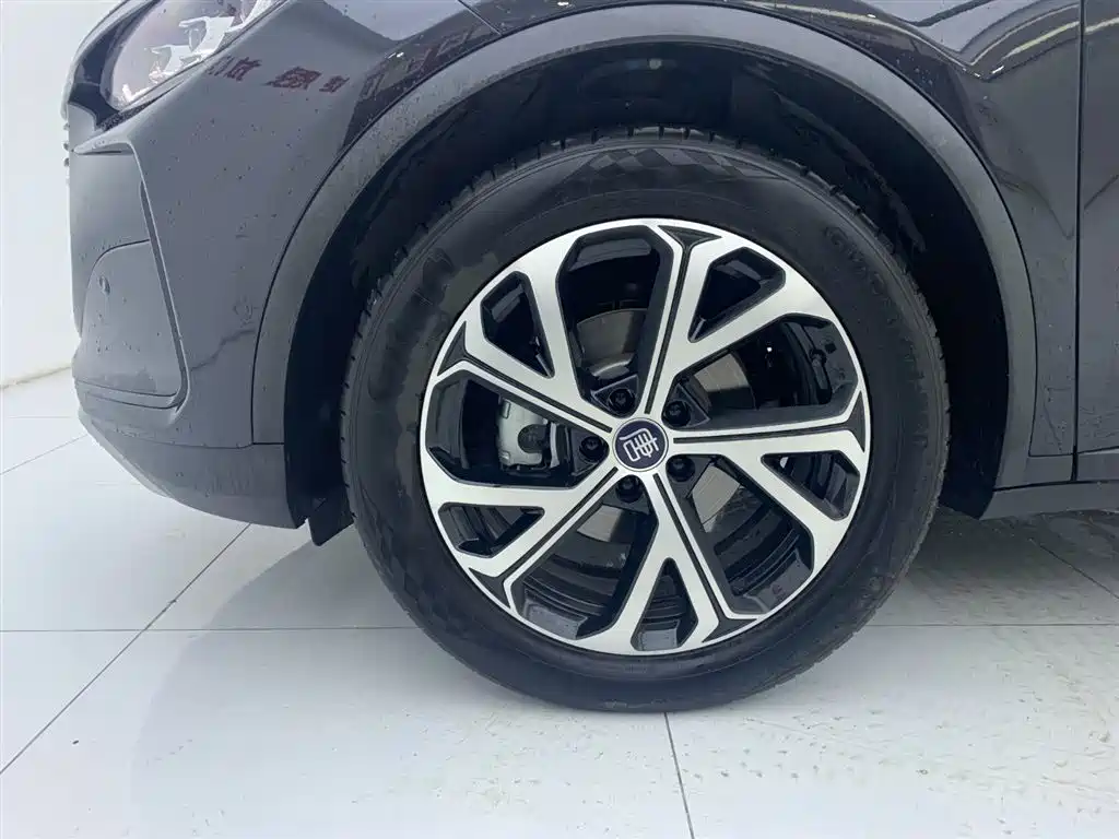 BYD Tang DM-i 115km Flagship (2025)