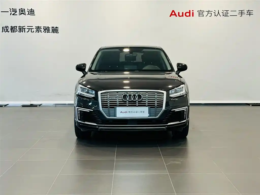 Audi Q2L e-tron 2019