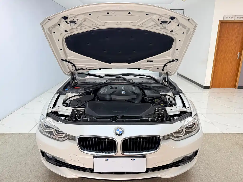 BMW 3 Series 2019 320Li Fashion