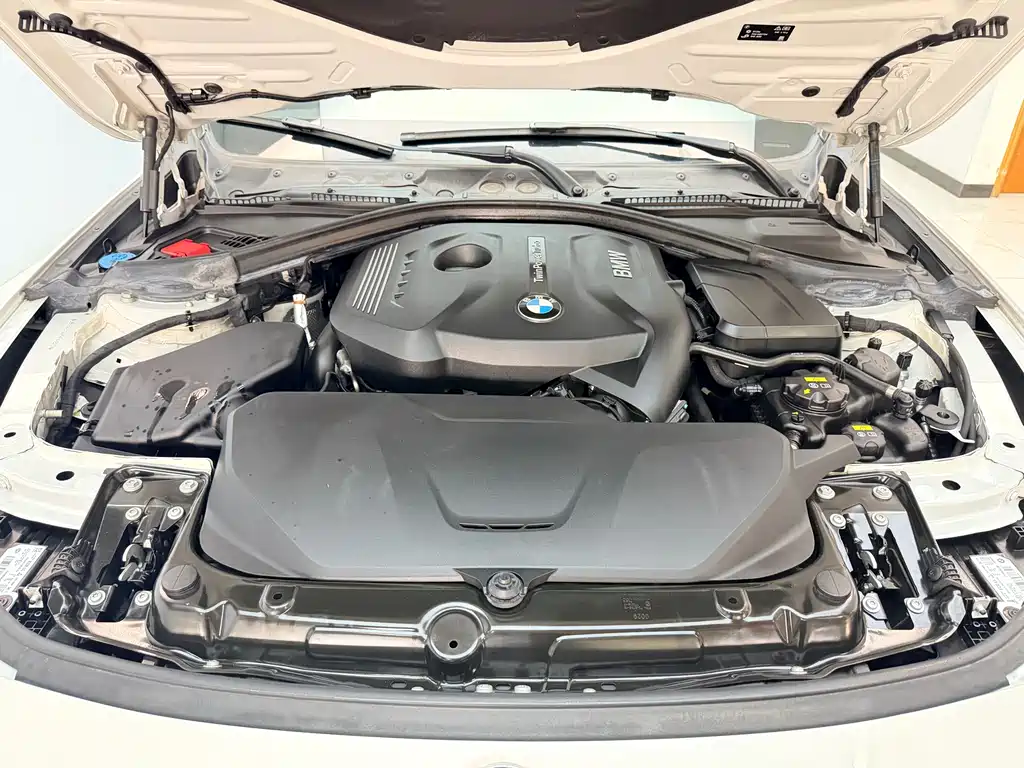 BMW 3 Series 2019 320Li Fashion