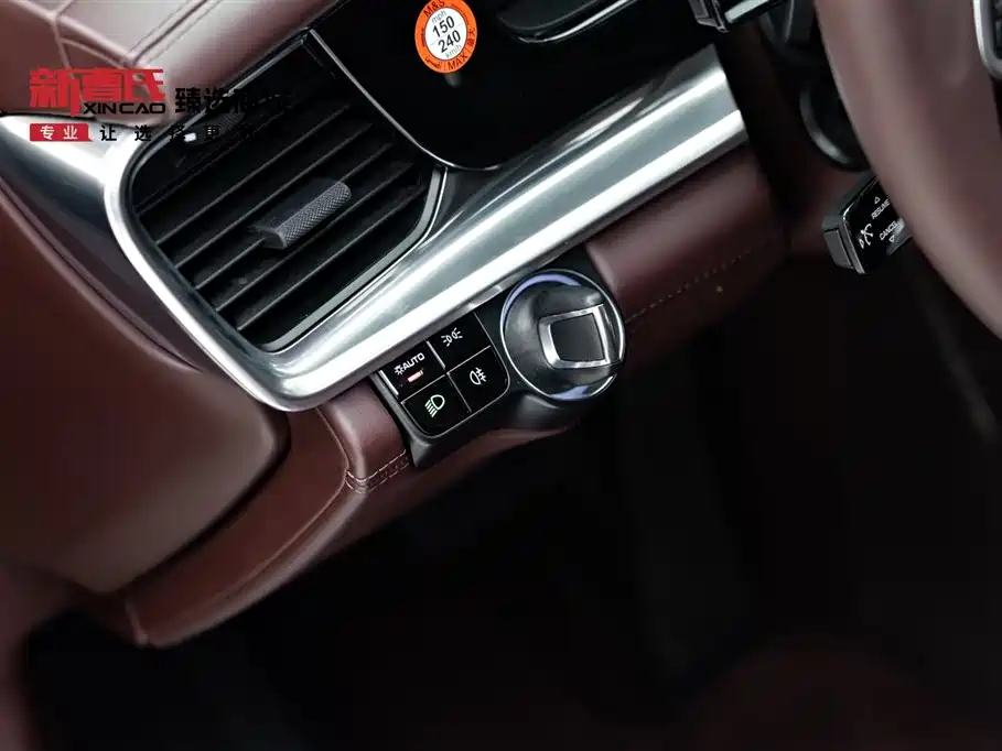 Panamera 2020 Panamera 10th Anniversary Edition 2.9T