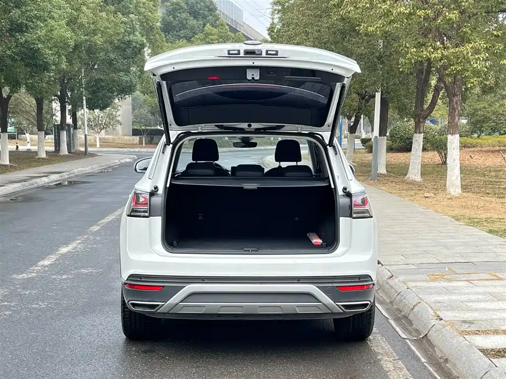 Tayron 2024 300TSI FWD Luxury Plus Advanced Edition