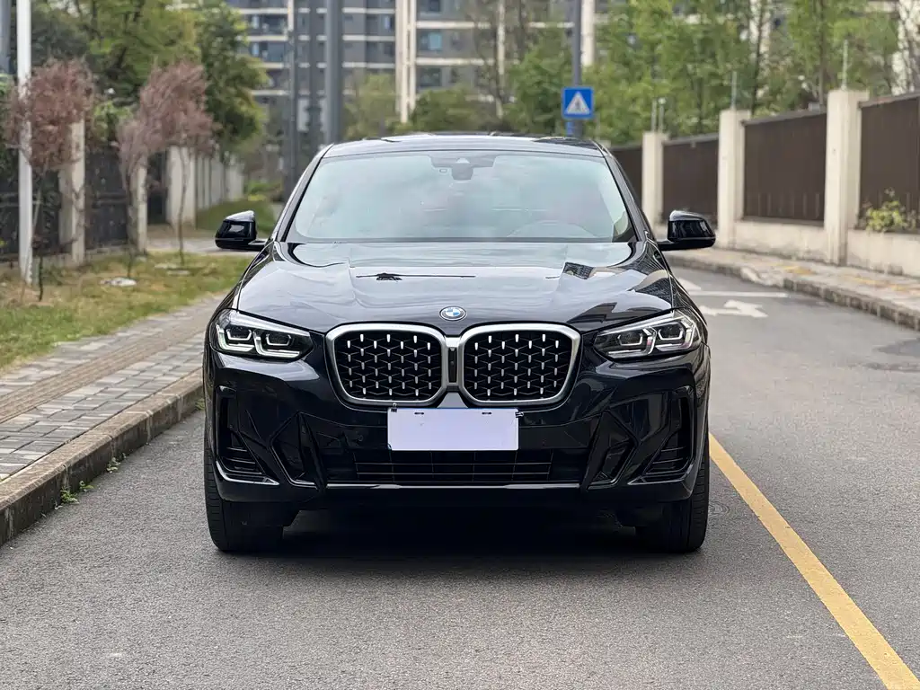 BMW X4 2022 xDrive30i M Sport Package