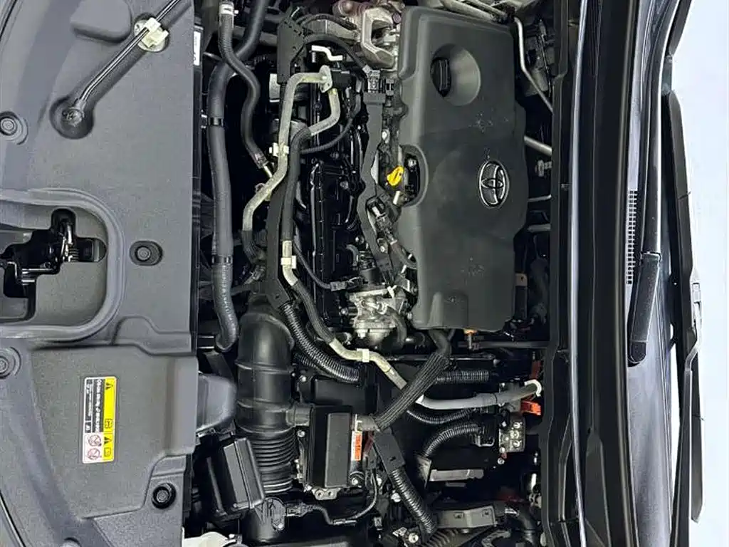 Sienna 2021 2.5L Hybrid Luxury Edition