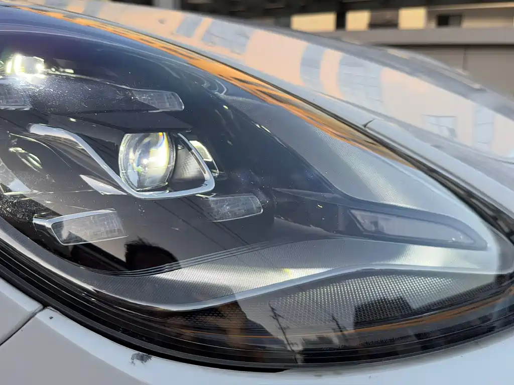 Porsche Panamera 2023 Panamera 2.9T Platinum Edition