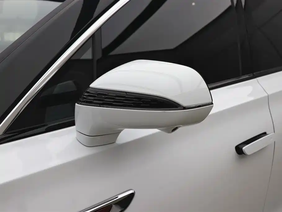 Hongqi E-HS9 2022 660km Qichang Edition 6-Seater