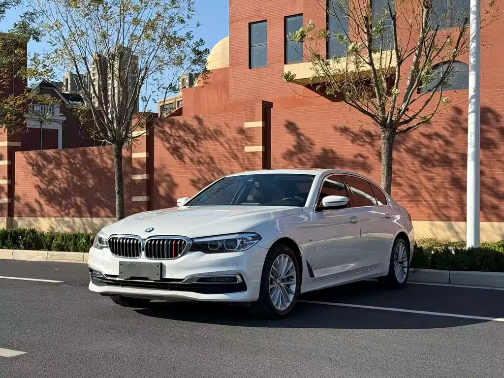 BMW 5 Series 2019 530Li Leading Edition Luxury Package