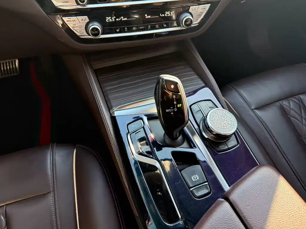 BMW 5 Series 2019 530Li Leading Edition Luxury Package