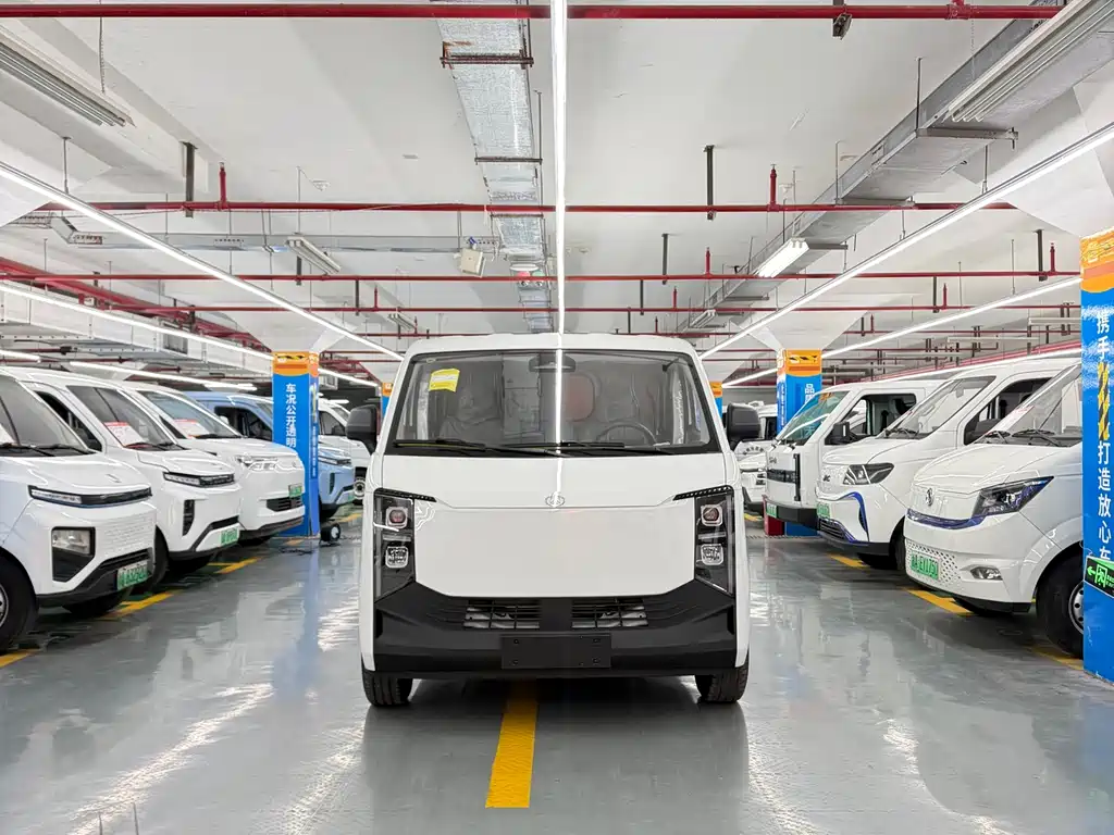 Dora Van 2026 305km 2C Supercharge Dream Edition CATL Battery
