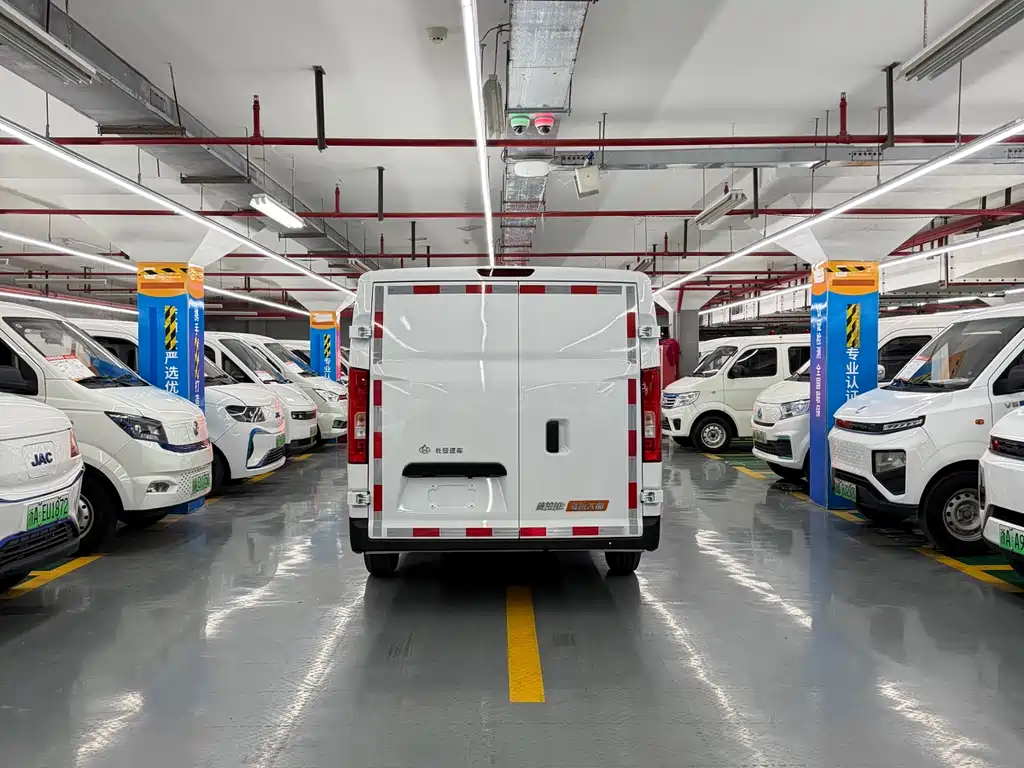 Dora Van 2026 305km 2C Supercharge Dream Edition CATL Battery