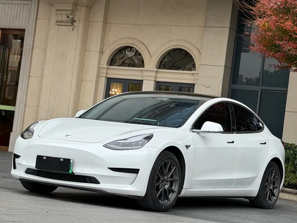 Model 3 2020 Standard Range Plus RWD