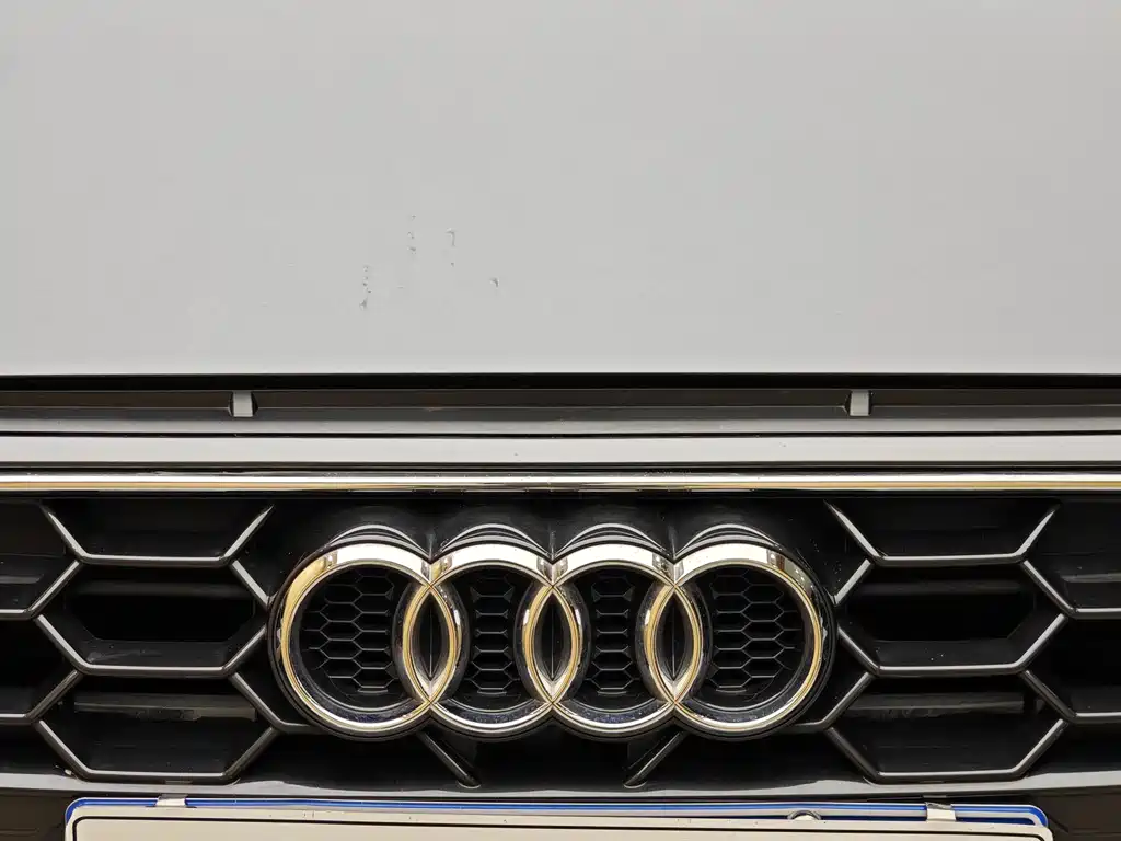 Audi A4L 2023 40 TFSI Fashion Dynamic