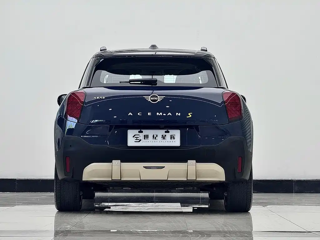 Electric MINI ACEMAN 2024 SE Artist
