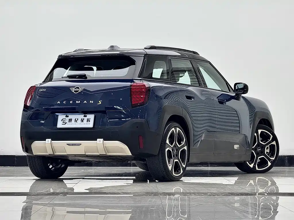 Electric MINI ACEMAN 2024 SE Artist