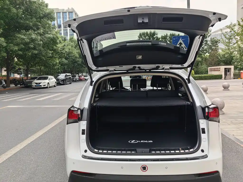 Lexus NX 2015 200t AWD F Sport