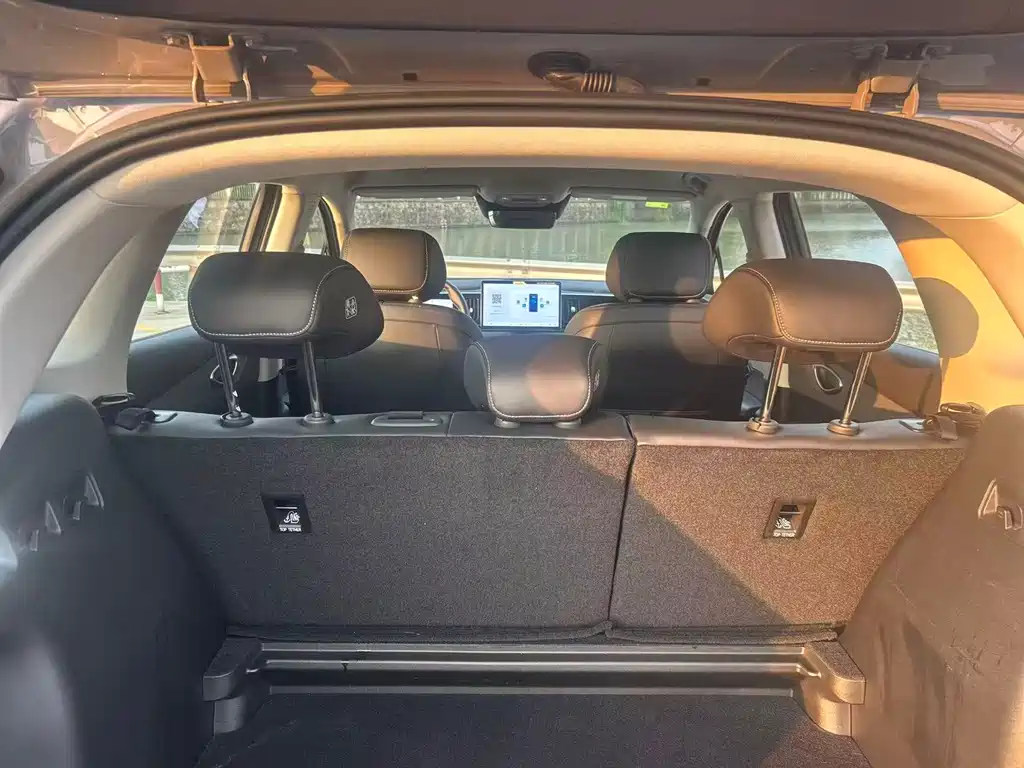 Sea Lion 05 EV 2025 520KM Smart Navigation Edition