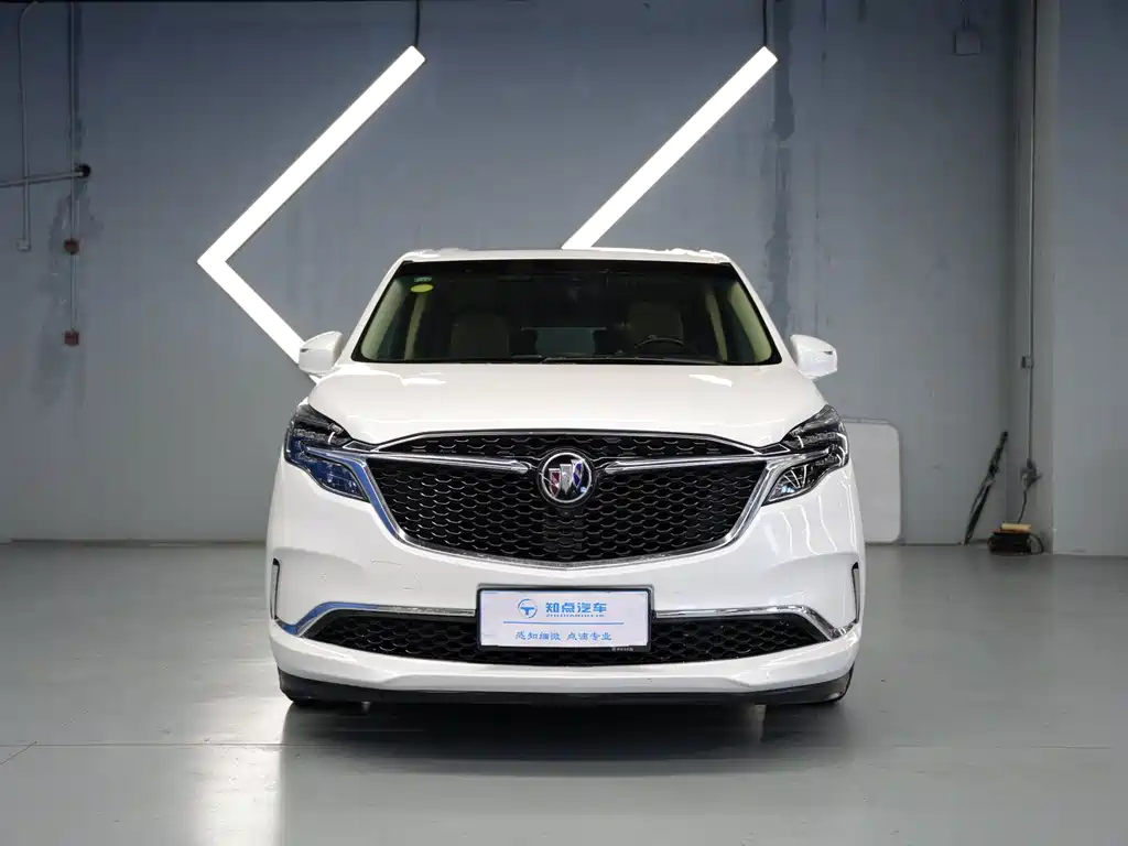Buick GL8 2021 ES Luxury 653T Premium
