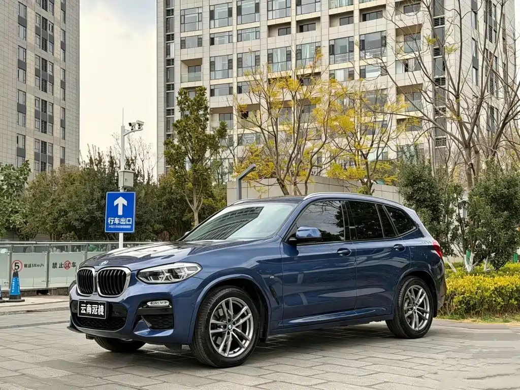 BMW X3 2018 xDrive25i M Sport Package China VI
