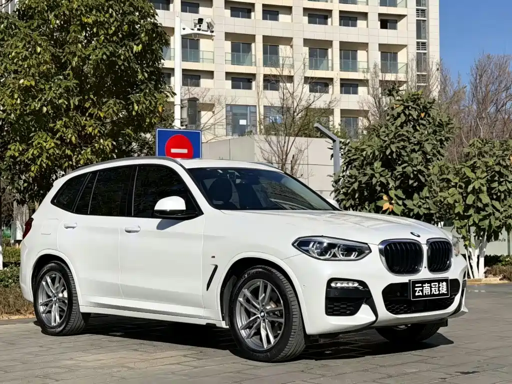 BMW X3 2018 xDrive30i Leading Edition M Sport Package China V