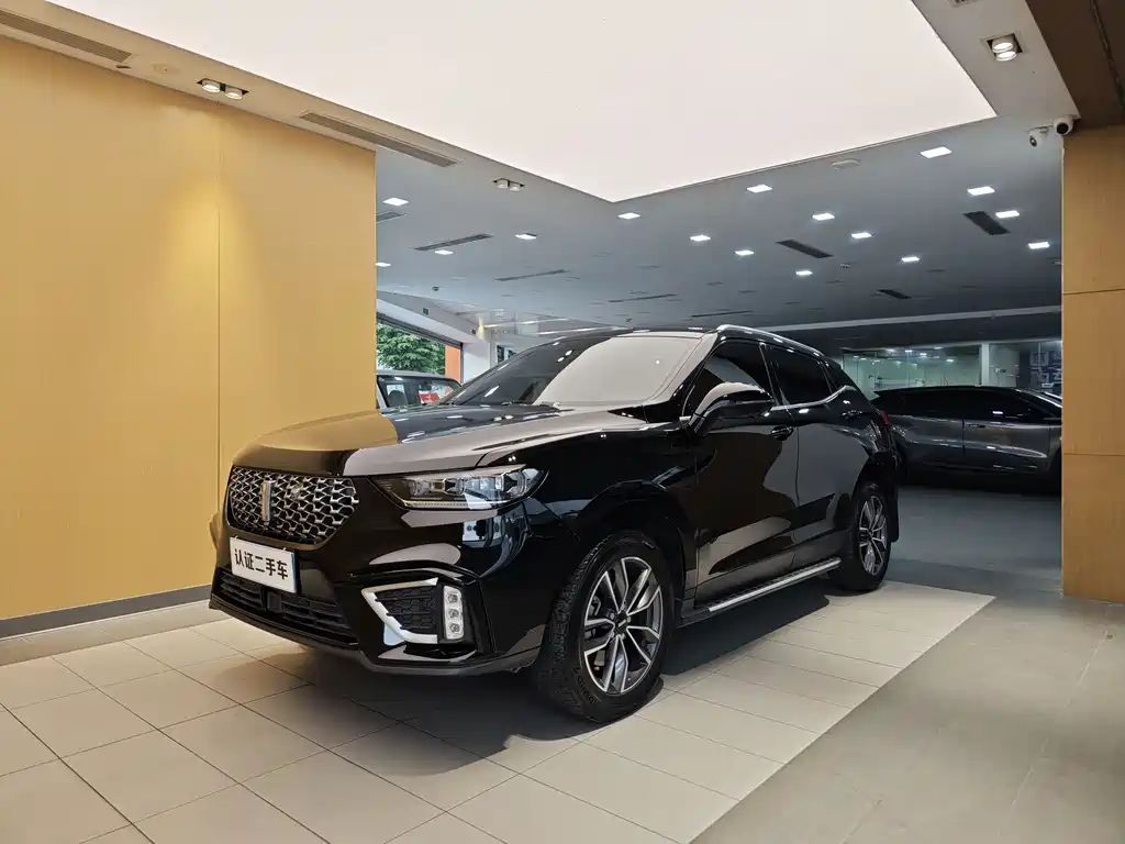 WEY VV5 2021 1.5T FWD Zhi Xianfeng