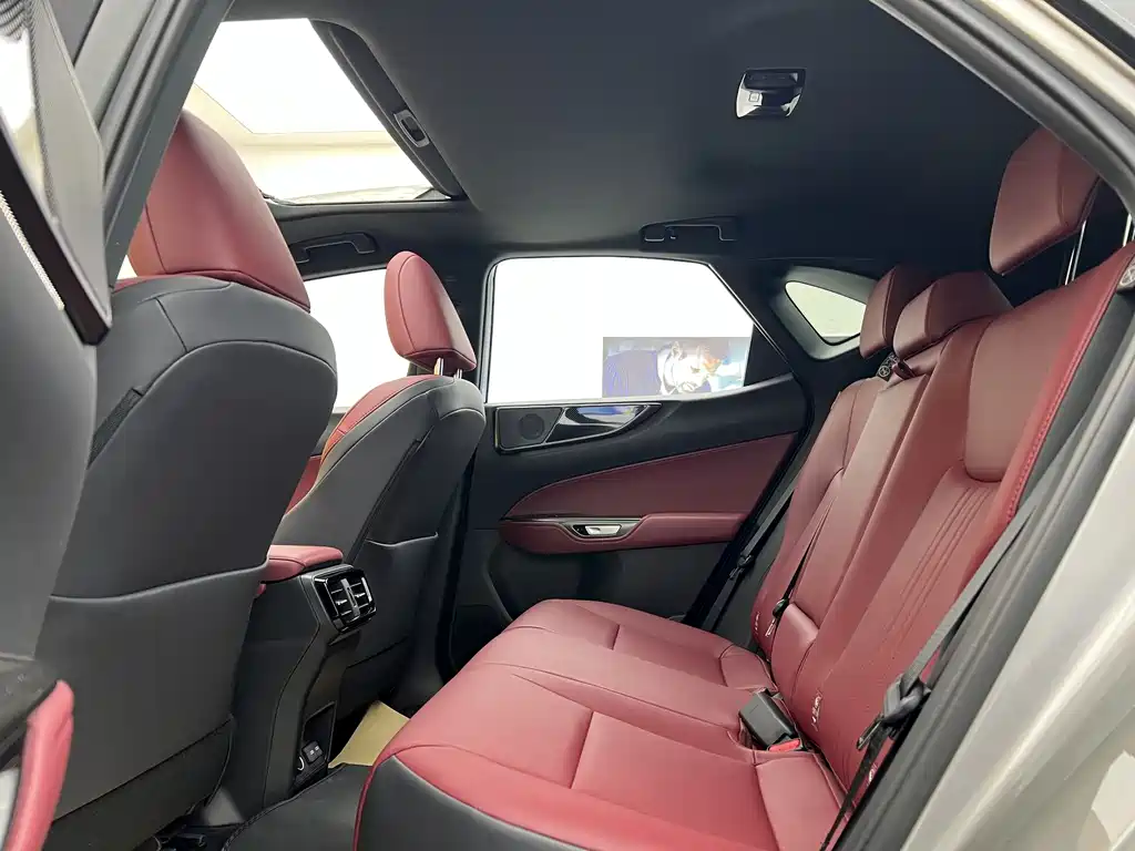 Lexus NX 2025 200 FUN