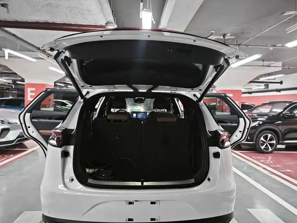 Tang EV 2021 AWD High-Performance Genesis Flagship Edition
