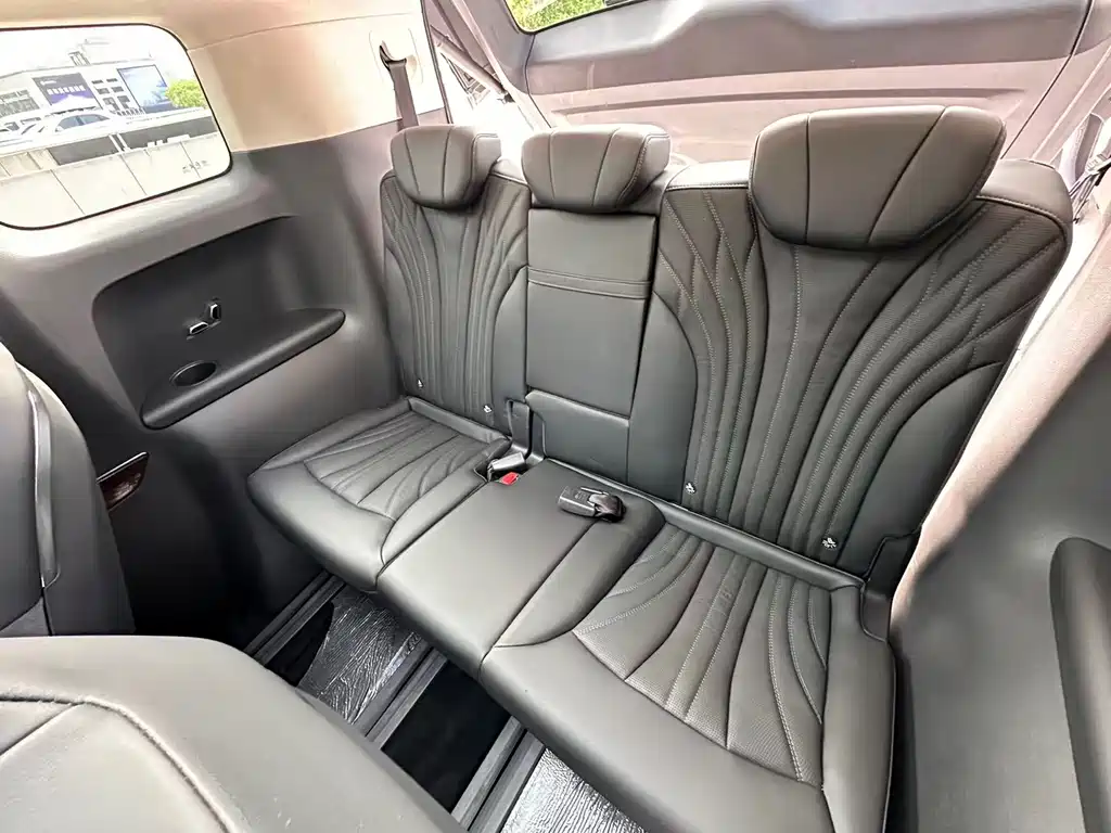 Hongqi HQ9 2023 2.0T Intelligent Connected Qiling Edition