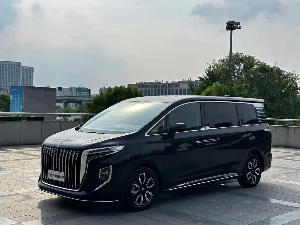 Hongqi HQ9 2023 2.0T Intelligent Connected Qiling Edition