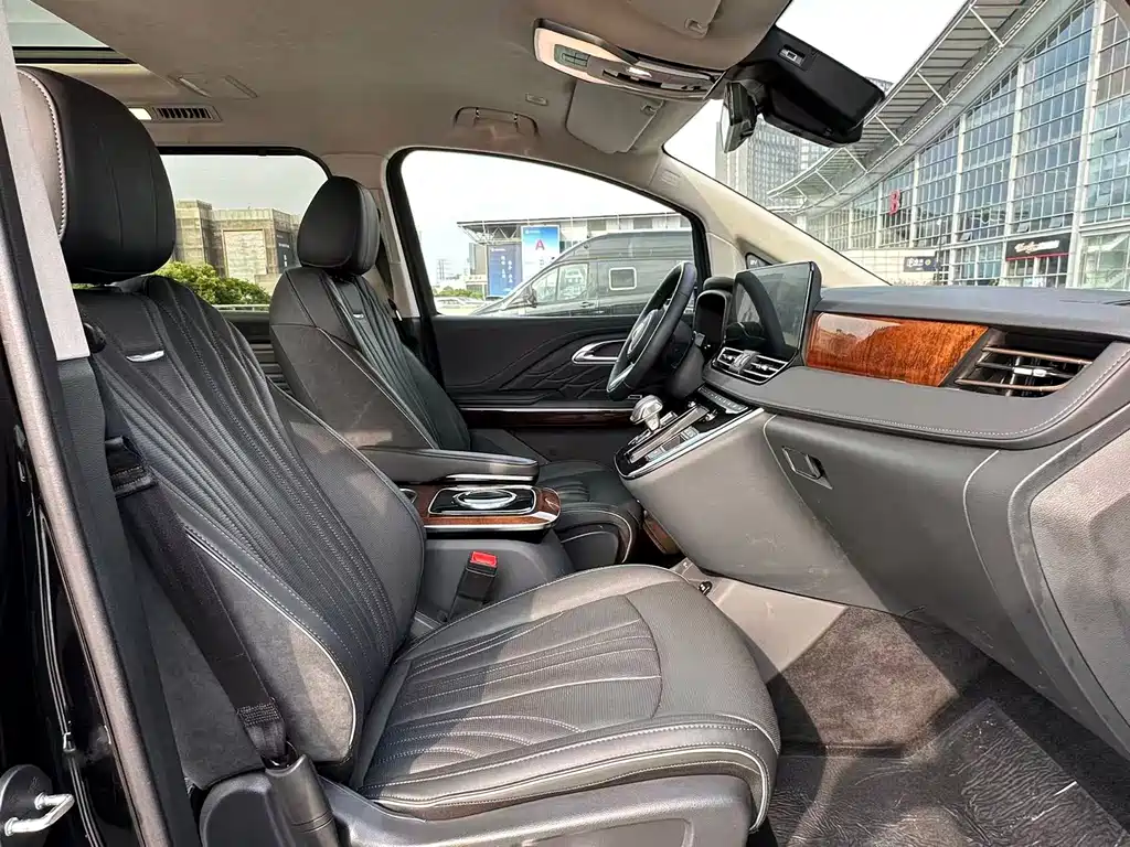 Hongqi HQ9 2023 2.0T Intelligent Connected Qiling Edition