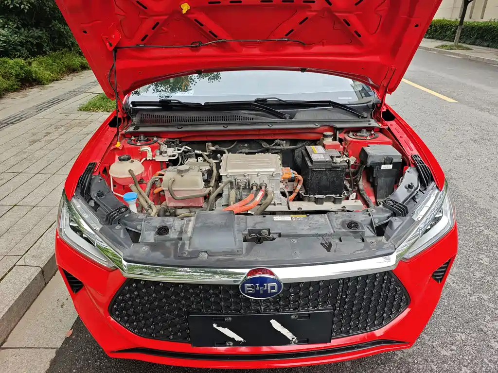 BYD e2 2020 Upgraded Long Range Luxury Edition