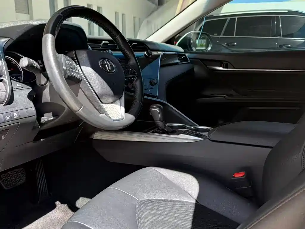 Camry 2019 Hybrid 2.5HG Luxury Edition China V