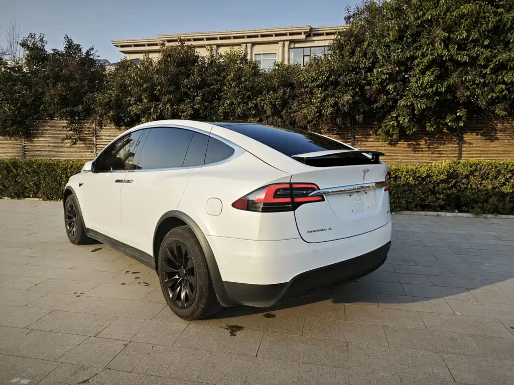 Tesla Model X 2017 Model X 100D Long Range