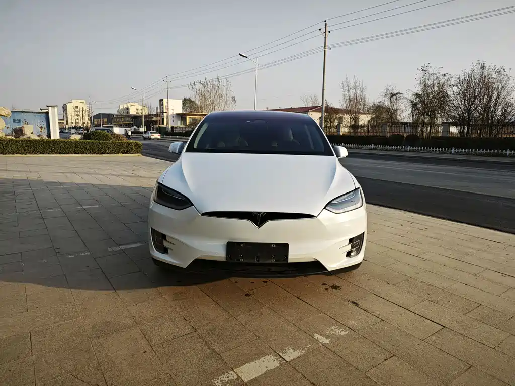 Tesla Model X 2017 Model X 100D Long Range