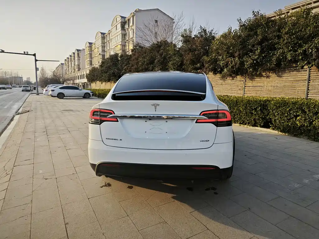 Tesla Model X 2017 Model X 100D Long Range
