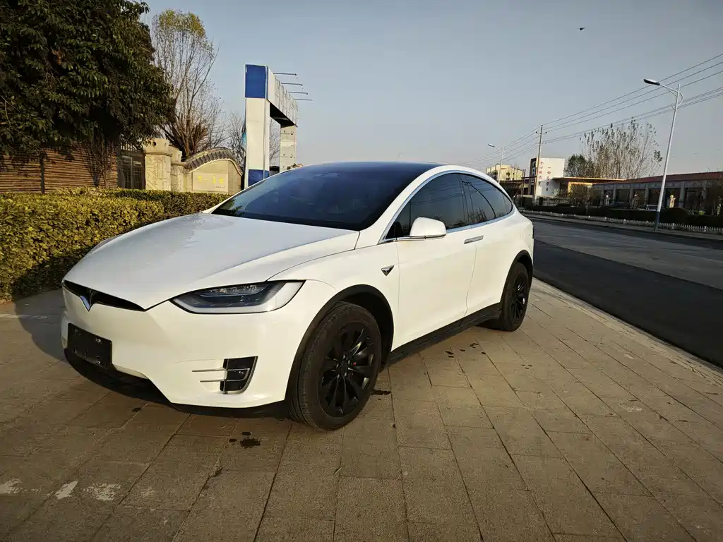 Tesla Model X 2017 Model X 100D Long Range